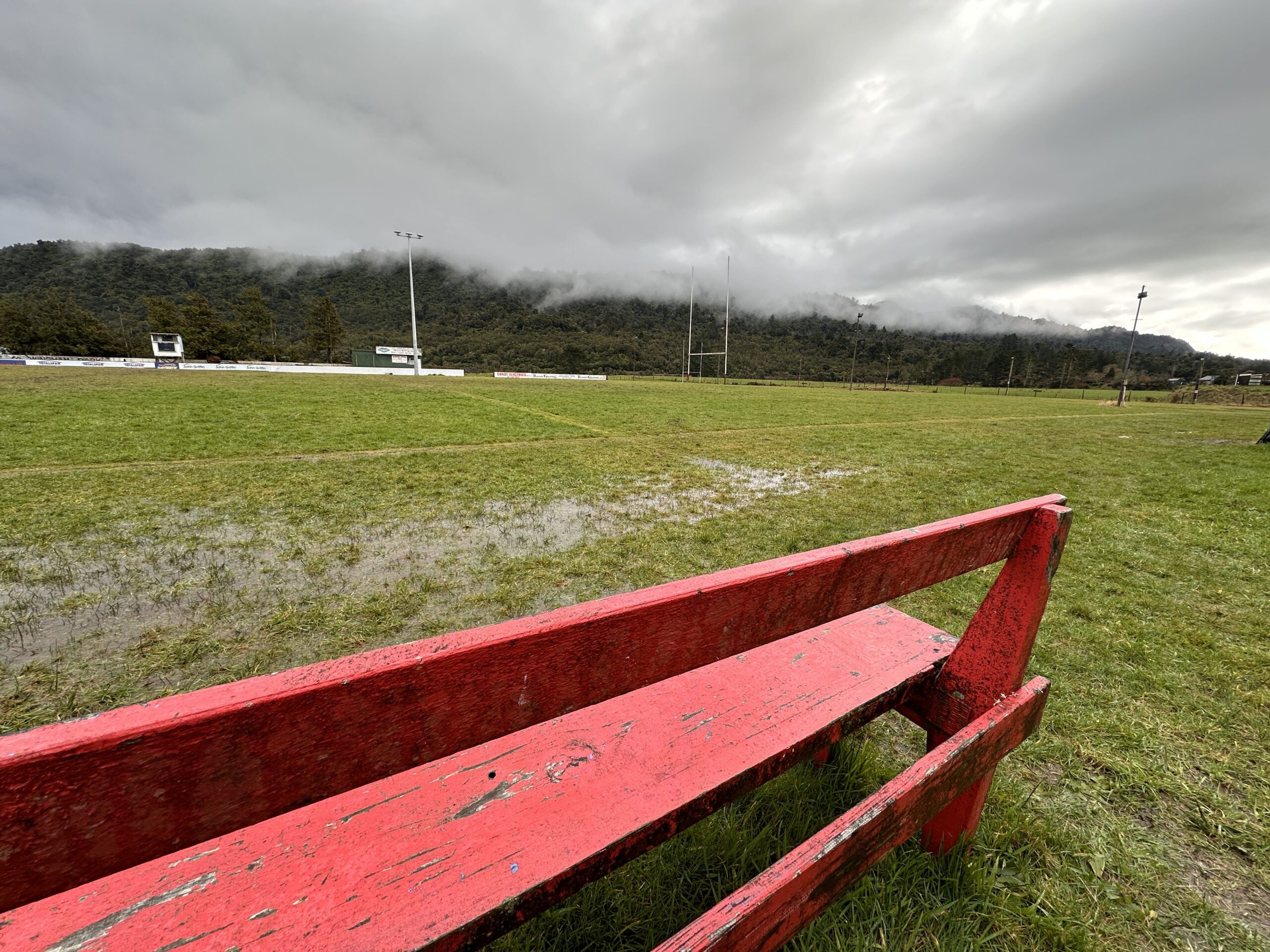 Greymouth Greyhounds from the West Coast